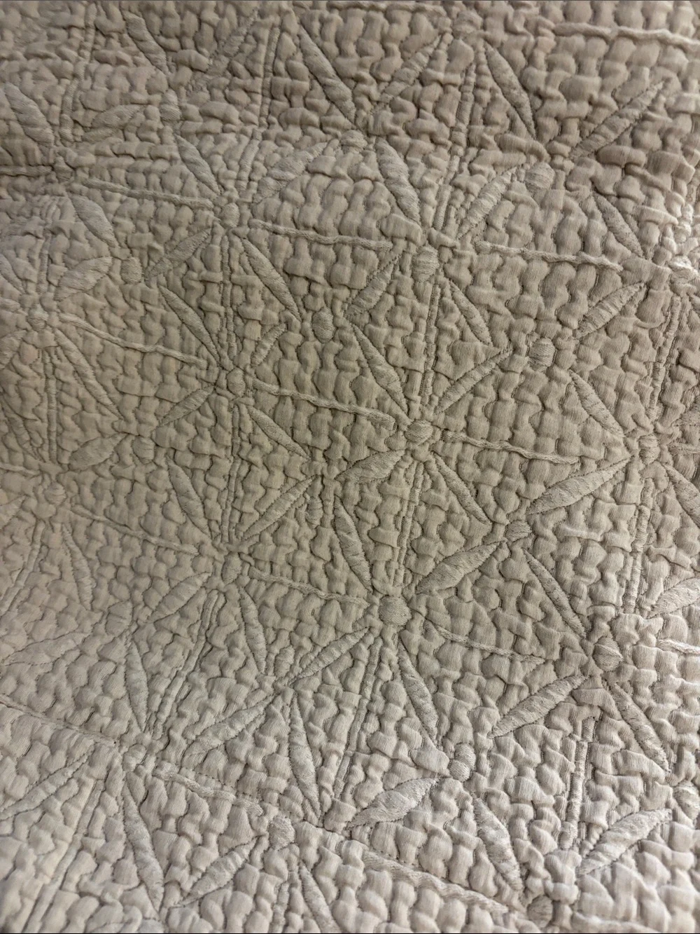 Peacock Alley cream Pillow sham Set